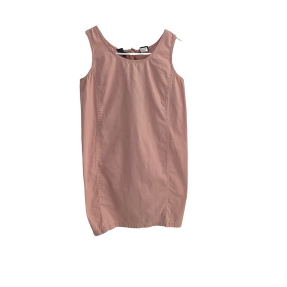 LizWear Petite Blush Dress‎ Women